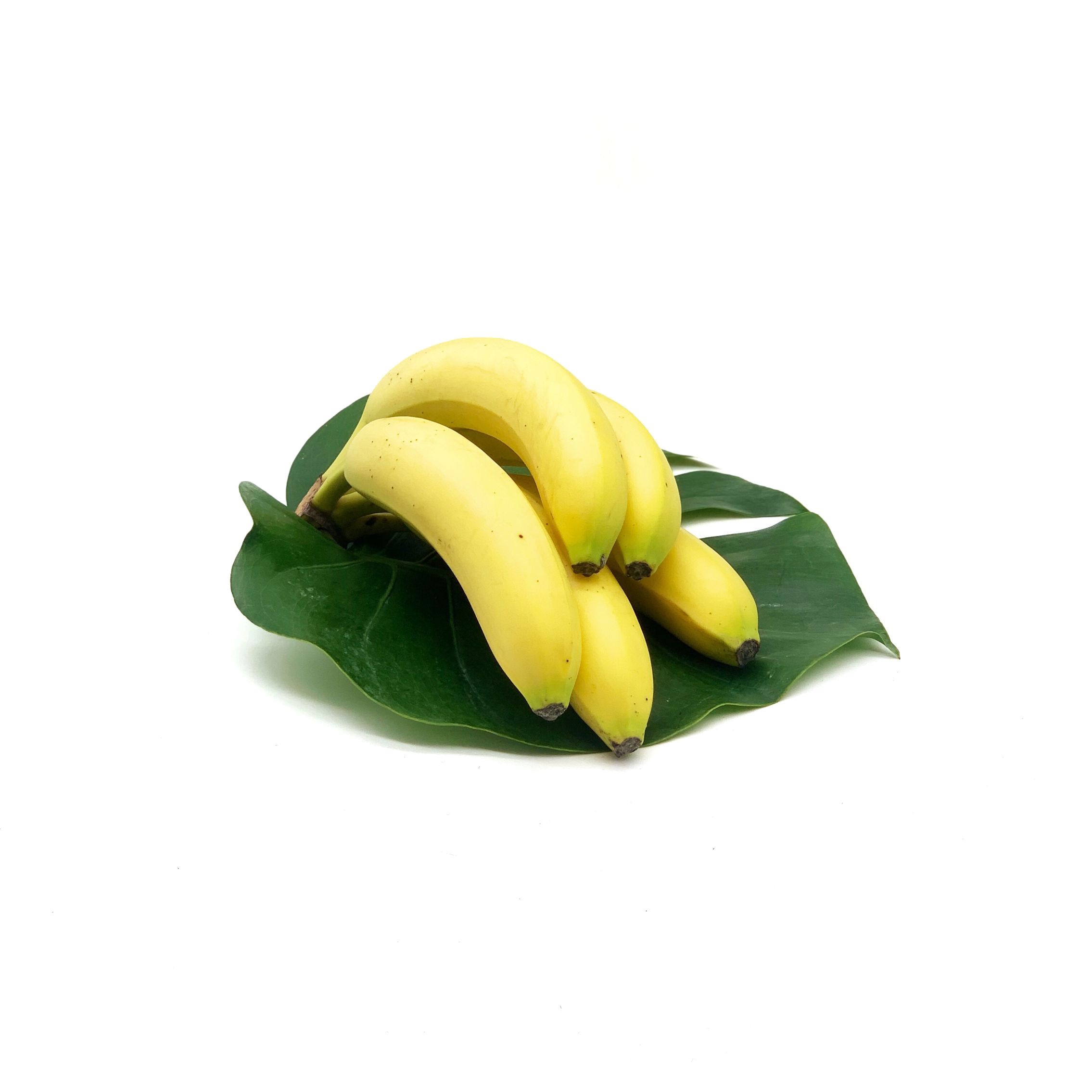Banane séchée sucrée rondelle bio