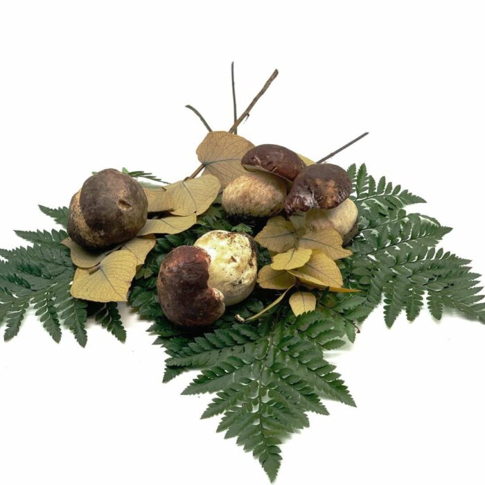 Champignon Cèpe - env. 250g