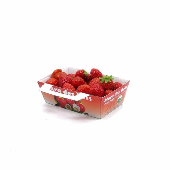 Fraise Mara des Bois - lot de 2 barquettes