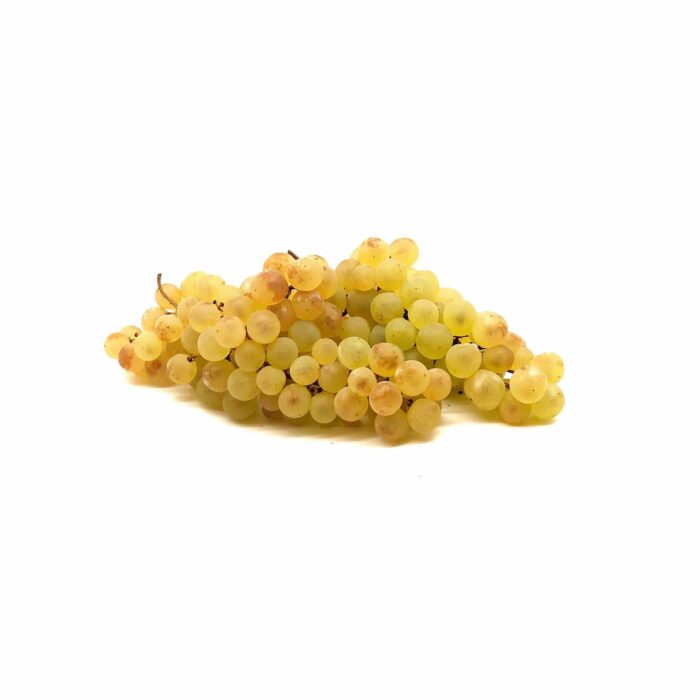 Raisin Chasselas Moissac - env. 500g