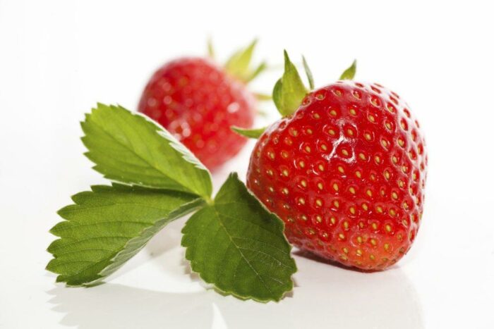 Fraise Elsanta - lot de 2 barquettes