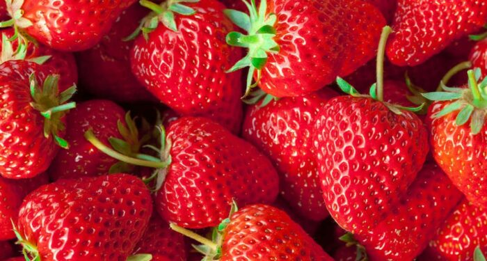 Fraise - le colis 1 kilo