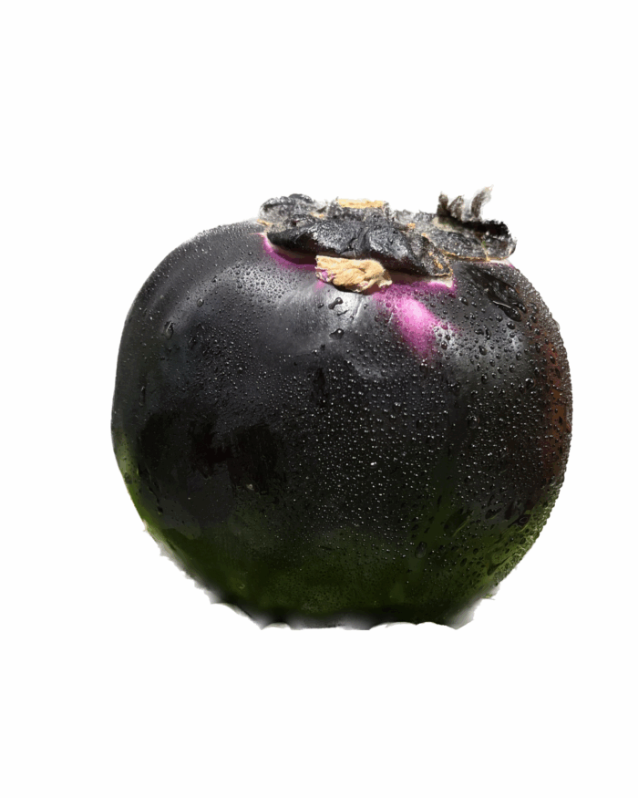 Aubergine Ronde Sicilienne - la pièce