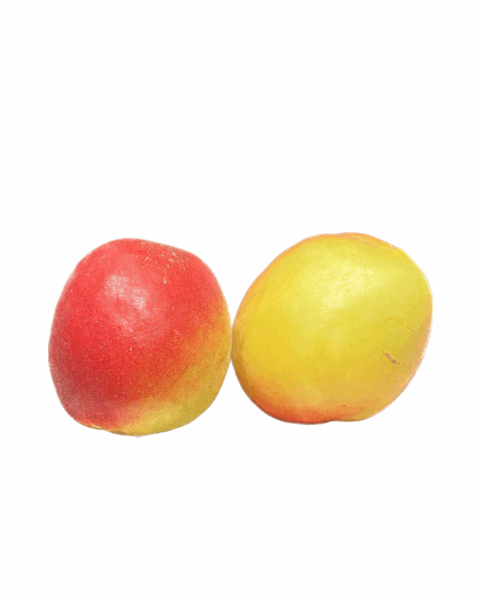 Abricot Vanille - env. 500g